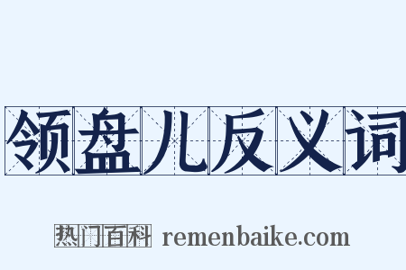 领盘儿反义词是什么意思的图片